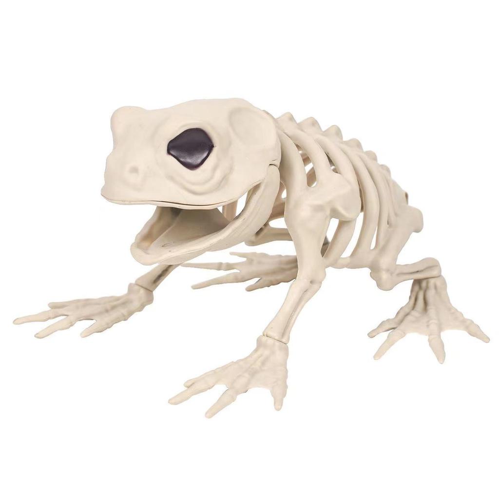 1pc Realistic Dog/Frog/Bird Skeleton Decoration - Lifelike Bone Structure with Expressive Eyes, Home Decor, Halloween Home Decor