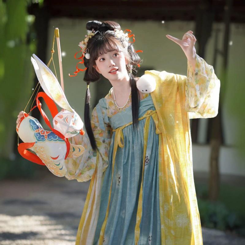 Tang Dynasty Style Hanfu Set Women - Qixiong Skirt Outfit With Printed Design Shawl