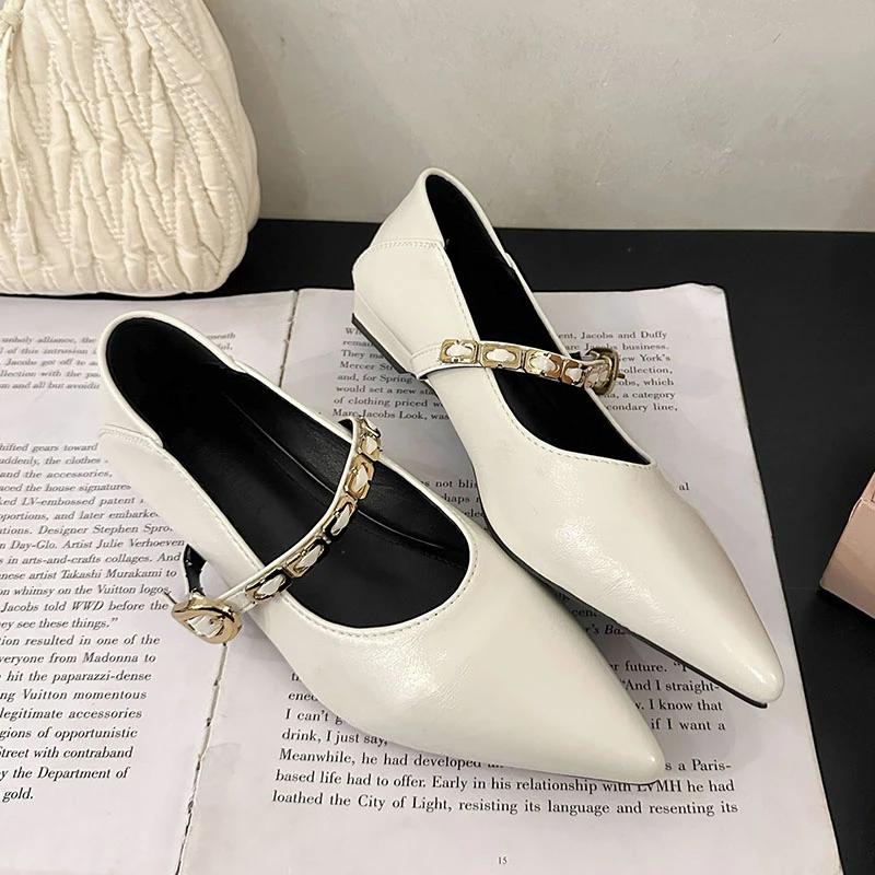 Designer Vintage Women Mary Jane Shoes Pointed Toe Shoes Laides Comfort Dress Street Style Low Heel Shoes