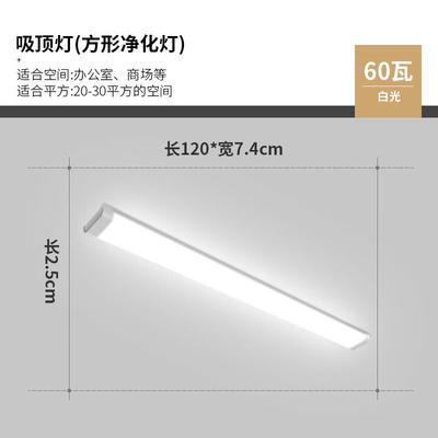 Bright Picture LED Strip Ceiling Light