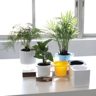 Self-Watering Flower Pot Automatic Irrigation Planter with Absorbent Cotton Rope Water Storage Flowerpot with Drainage Hole for Indoor Outdoor Plants
