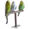 Wooden Bird Parrots Stand Bar Pet Rest Play Toy T-shaped Swing Chew Toys Birds Supplies