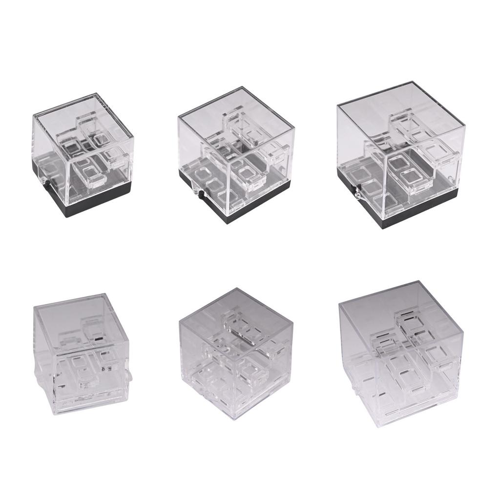 Multipurpose Dustproof Crystal Storage Case Portable for Geologists and Jewelry Designers Showcasing Natural Beauty