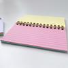 Notizblöcke mit Doppelringbindung 50 Blatt Liniert Taschenjournal Drahtgebundener Schreibblock Kleines Notizbuch für Studenten zum Notizen machen