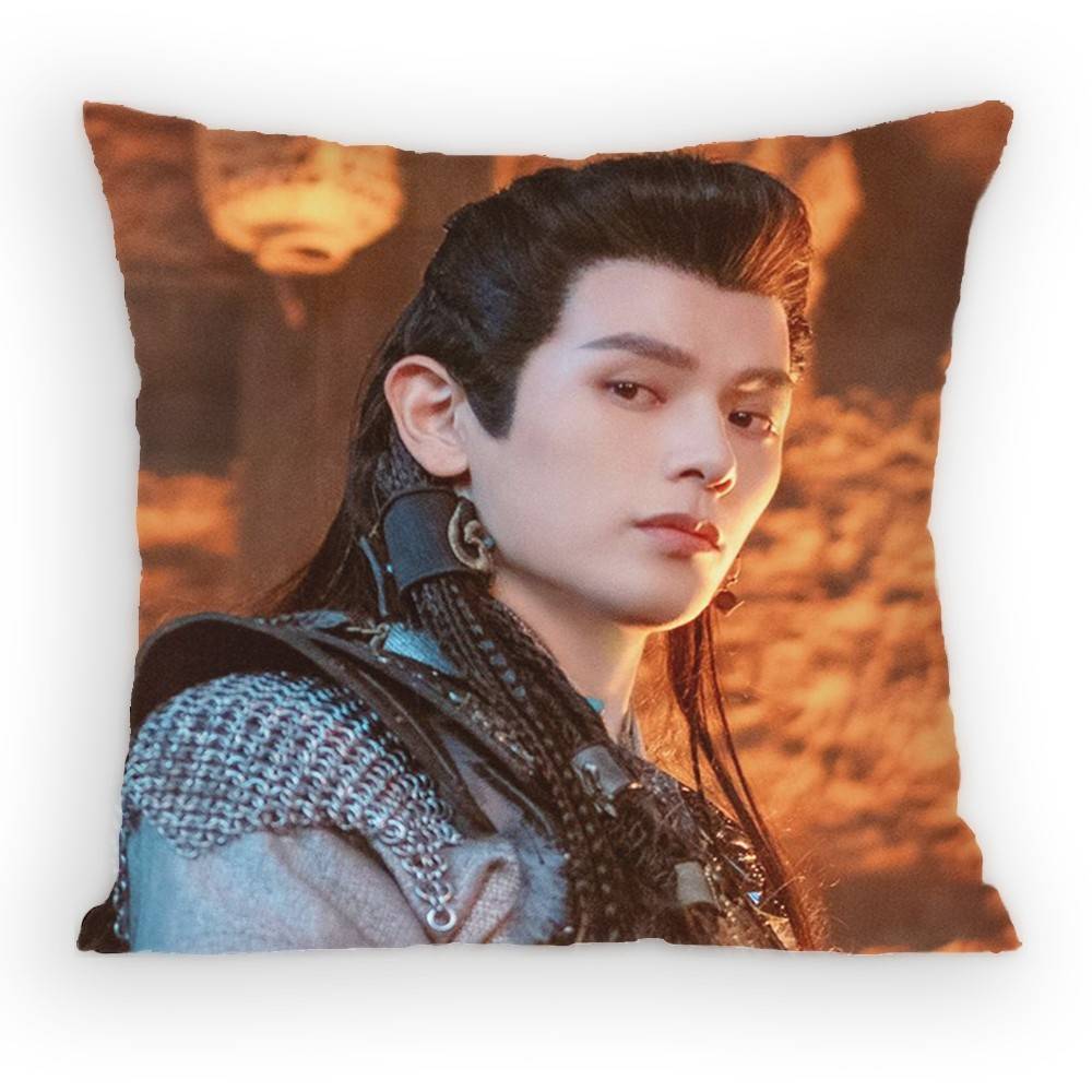 Zhang Linghe Pursuit of Jade Pillow Case Antidustmite Pillowcase Invisible Zipper Silky Sofa Cushion Cover for Bedroom