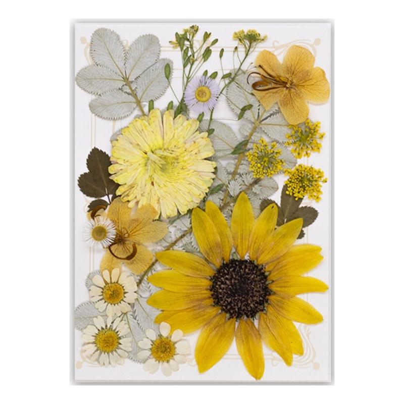Natural Pressed Dried Flower For Epoxy Resin Dry Flowers and Leaves Set for Soap Candle Jewelry Making Scrapbooking