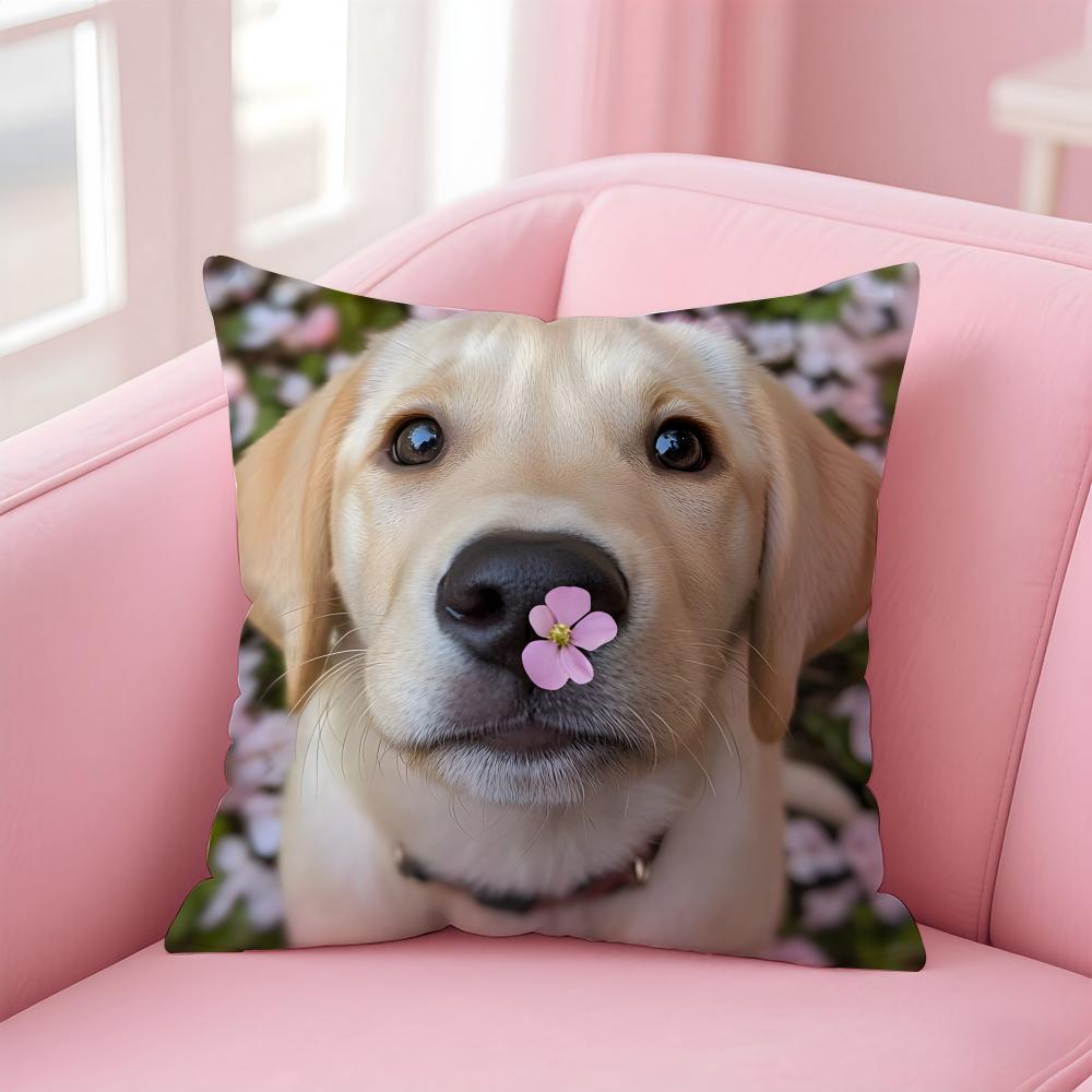 

МИЛЫЙ ПРЕКРАСНЫЙ Пемброкширский вельш-корги собака Наволочка Подушка Мягкая Дружелюбная Ткань Скрытая Молния 30X30cm