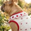 Cherry Pattern Cat Strawberry Vest Ruffled Collar Pet T-shirt Cat Lace Vest  Indoor Wear