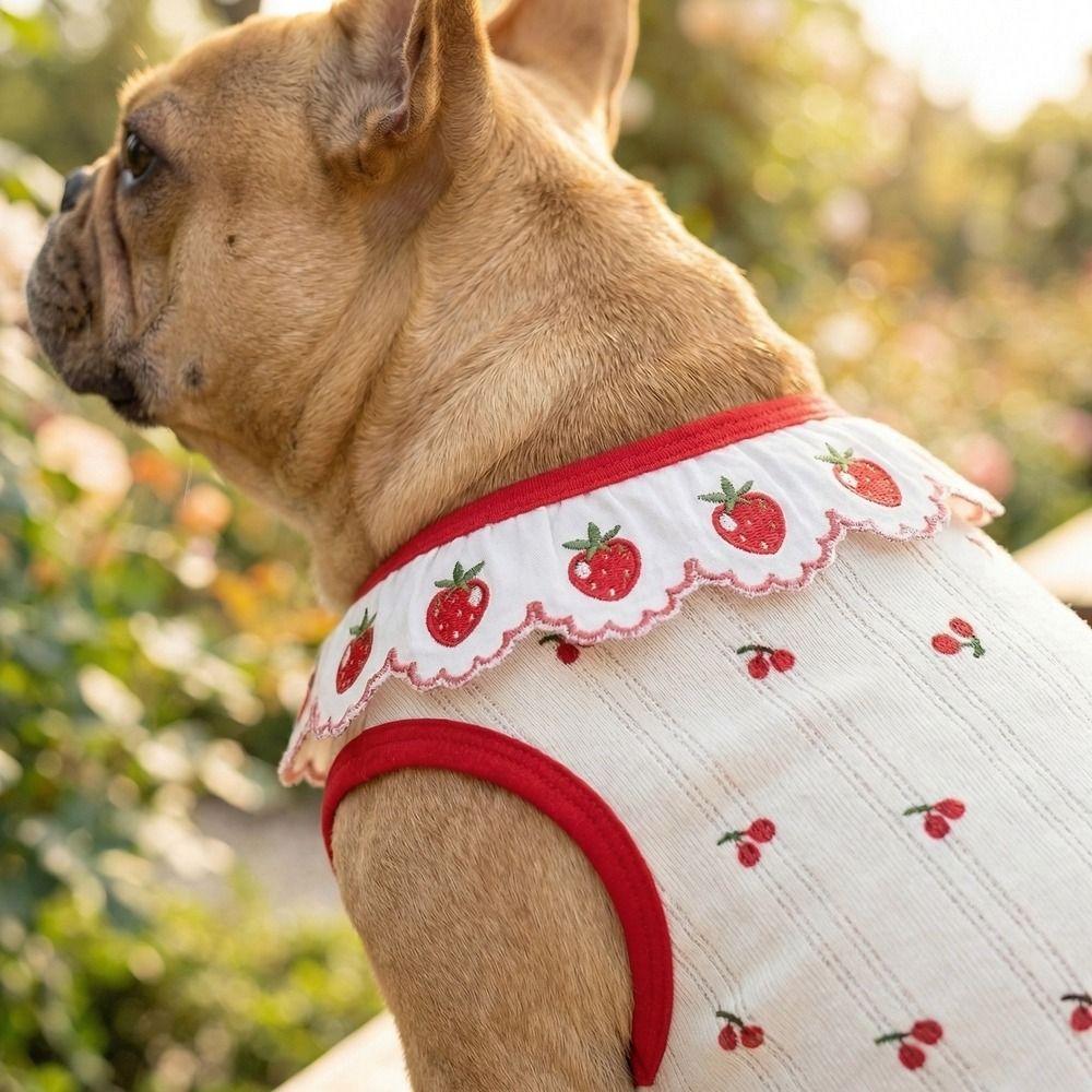 Cherry Pattern Cat Strawberry Vest Ruffled Collar Pet T-shirt Cat Lace Vest  Indoor Wear