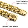 18K Gold Dog Chain Collar Walking Metal Chain Collar with Design Secure Buckle, Cuban Link Strong Heavy Duty Chew Proof for Dogs (18")