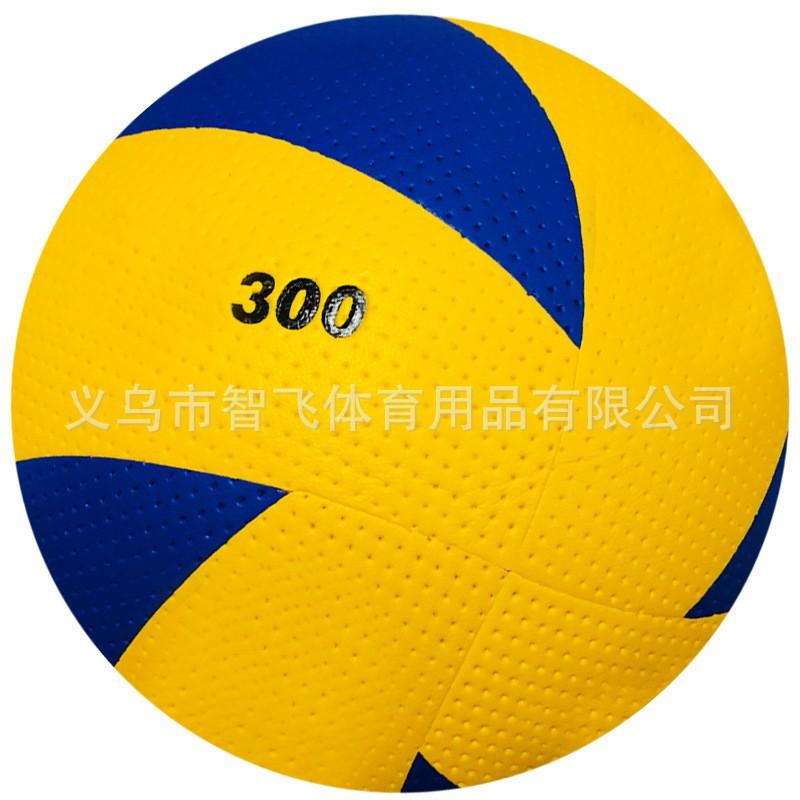 Soft PVC/PU Glued Volleyball School PE Exams Training Competition 5 Inch Size