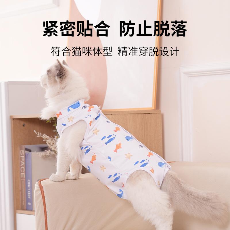 Kleidung zur Genesung nach einer Tieroperation: Katzen- und Hundebekleidung für alle Jahreszeiten