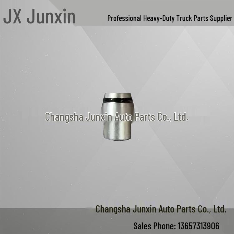 

Plug for Sany Dump Truck Mixer, Model 60288000. Dump truck mixer