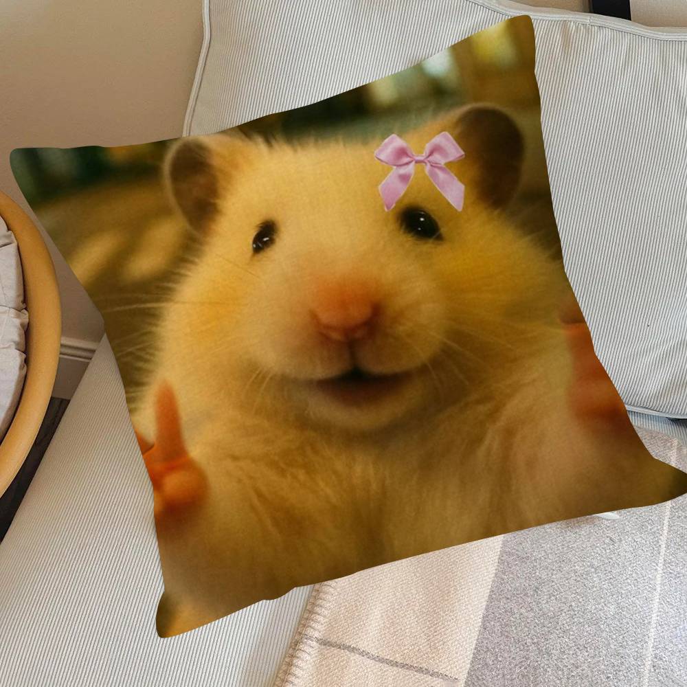 Funny Sad Hamster Emoticon   Pillow Cover for Bedroom Room and Living Room Sofa Decorative Cushion Cover