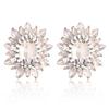 Minimalist Alloy Drop Earrings For Girls Featuring Irregular Shapes And Spring Style