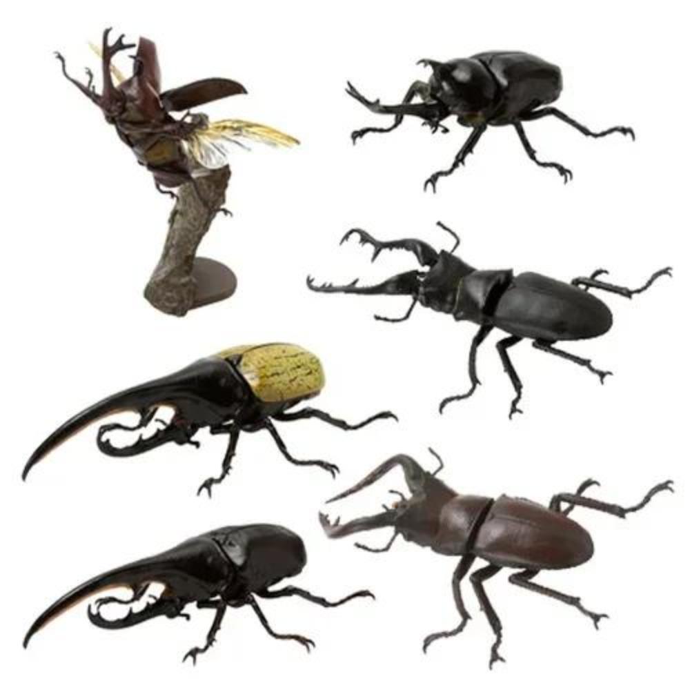 Ornament Twisted Egg Insect Mini Beetle Unicorus Dynastes Simulation Animal Model Collection Desktop Ornament FIGURE PLAYTHINGS