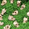 Mini Joy Garden Ghost Ornament Resin Skull Statue Decorations  Halloween Party