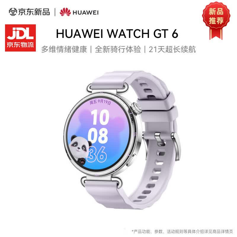 HUAWEI WATCH GT 6 Smartwatch 41mm (CN version)