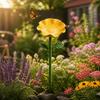 Ornamental Horticulture Bee Butterfly Watering Station Flower Shape Bird Bath  Wildlife Garden