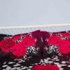 3D Oil Red Rose Bedding Sets 100% Cotton King Queen Size Red Rose Duvet Cover Sets,Queen/Full Size with 2 Pillowcases