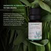 Californian White Sage Essential Oil Diffuser Blend by Aromafume | 10ml