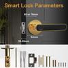 6 In 1 Tuya Smart Door Lock Remote Unlock Fingerprint Handle Lock HDB Password Door Lock Smart Door Knob Lock Apartment