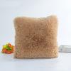 Korean Plush Pillowcase Crystal Long Plush Sea Lion Pillow