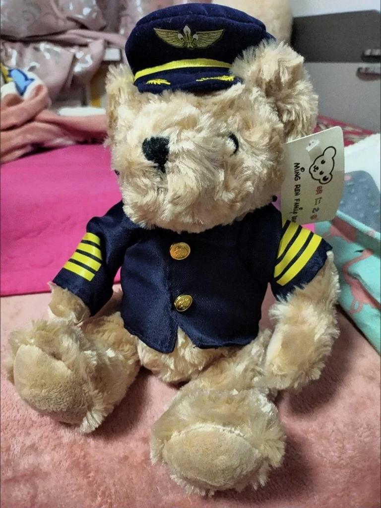 22/30/40CM Pilot Bär Hohe Qualität Plüsch Puppen Weiche Angefüllte Kapitän Bär Plushie Puppen Kawaii Baby kinder Geburtstag Geschenke