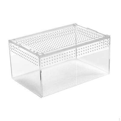 Contenedor Acrílico para Reptiles, Caja Hábitat Tortugas y Anfibios