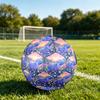 1pc Fantasy Hippo Garden Durable Size 5 Soccer Ball Professional Match Training Football Indoor &Outdoor Sports Ball P6015