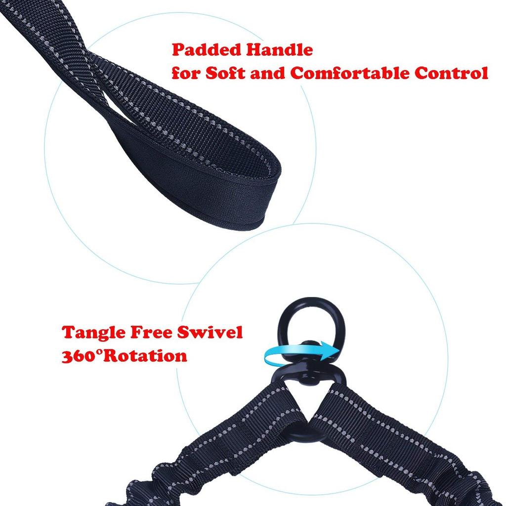 double dog leash swivel
