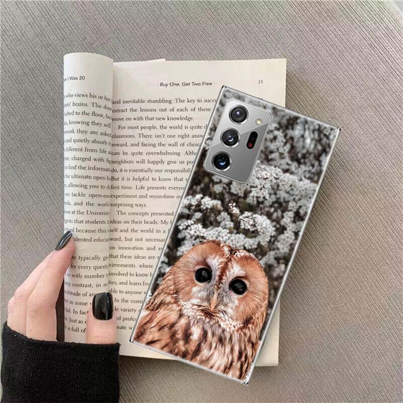 

Snow Cute Owl Animal Phone Case For Samsung Galaxy S25 Edge S24 S23 FE S22 S26 Ultra S21 S20 S10 Plus Capa Soft Samsung S23 Plus