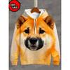 Funny Dogs Animal 3D Print Hooded Shirt Man Women Autumn New Hooded Sweatshirt Casual Streetwear Long Sleeve Pullovers Clothing
