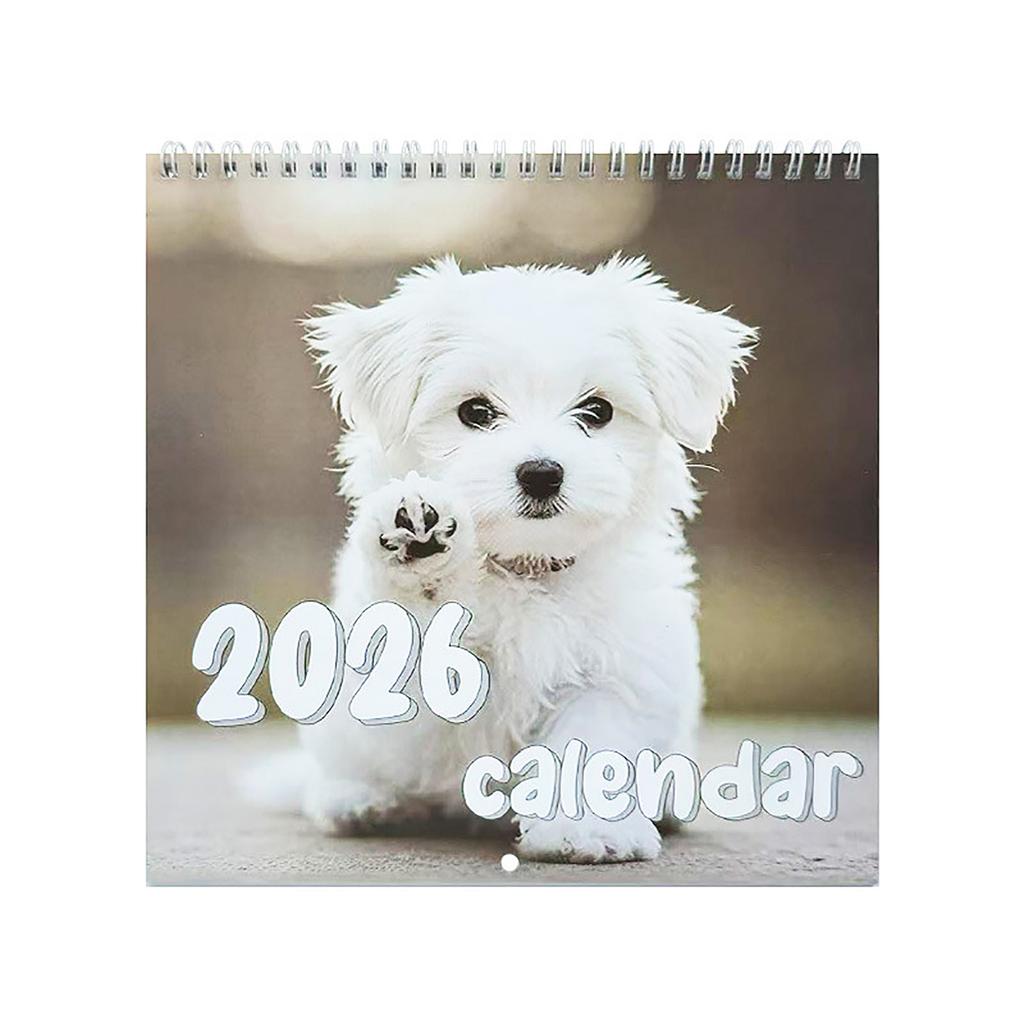 2026 Minimalist Wall Calendar Monthly Planner Hanging Calendar For Home
