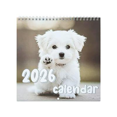 Calendrier Mural Minimaliste 2026 Planificateur Mensuel Calendrier à Suspendre Pour la Maison