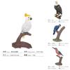 Realistic Bird Model Pvc Owls Eagles Parrots And Woodpeckers For Childrens Educational Decor