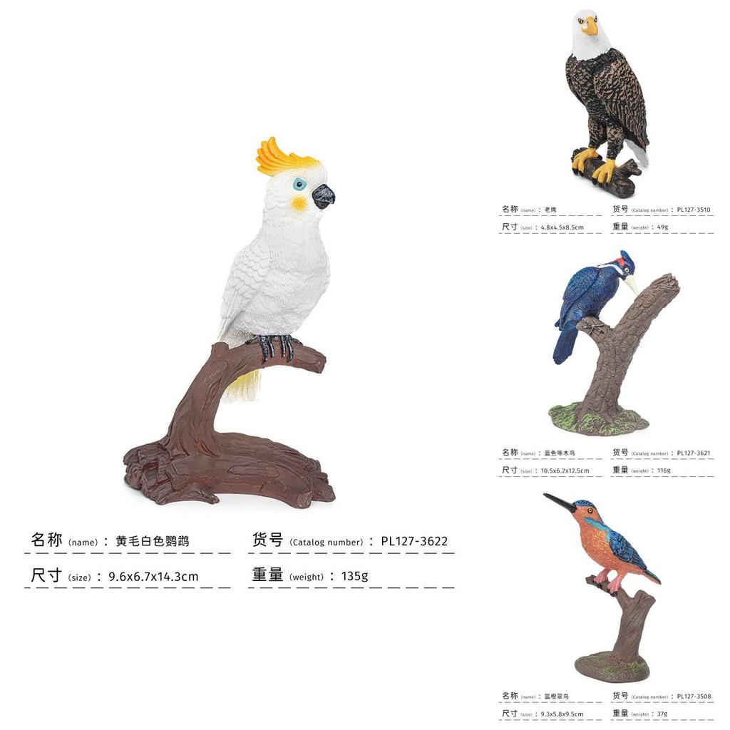 Realistic Bird Model Pvc Owls Eagles Parrots And Woodpeckers For Childrens Educational Decor