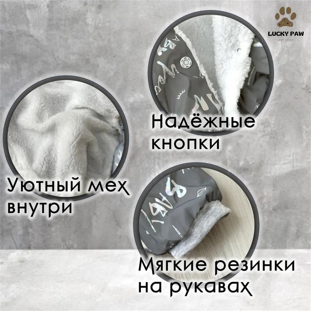 Haustier / Winter Nacht Reflektierender Baumwollmantel Kleiner Hund