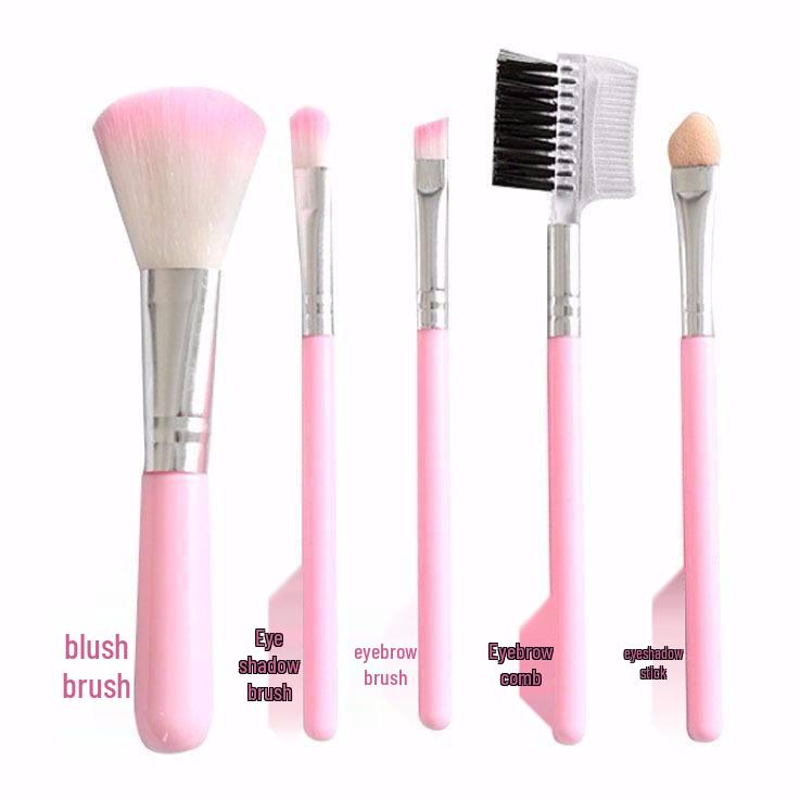 Pink 5-Piece Makeup Brush Set: Portable Brushes for Blush, Foundation, Eyeshadow, and Eyebrows