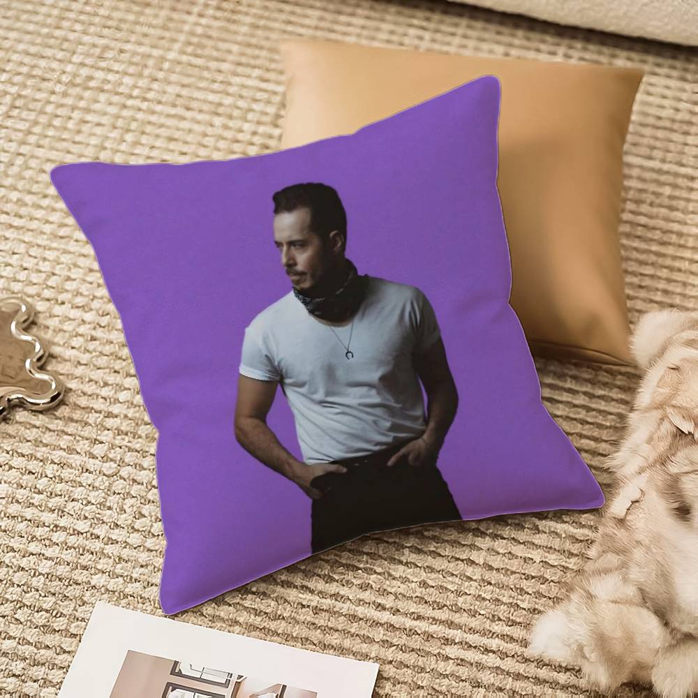 J-Jose M-Madero S-Sarajevo Pillow Case Anti-dustmite Invisible zipper Sofa Bed 12x12Inch