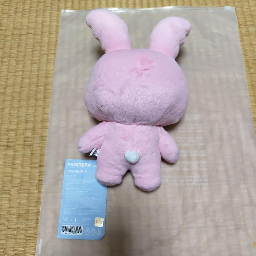 Used MINITEEN Stuffed Toy Jeonghan SEVENTEEN