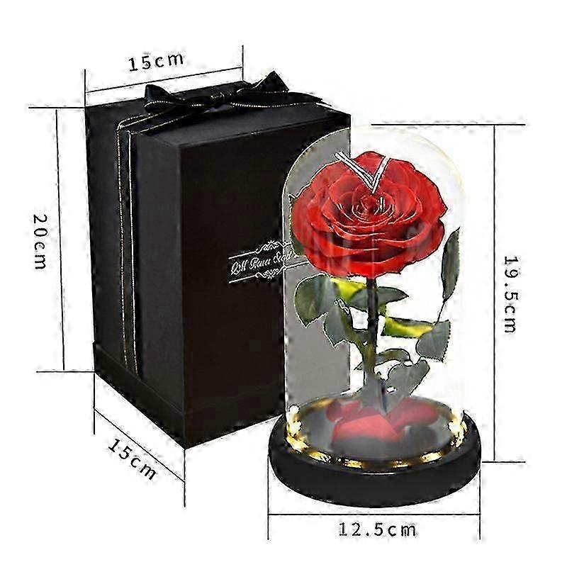Rose That Lasts Eternal compatible withever Preserved Flower in Glass Dome Lamp compatible with Valentine's Mother's Day Gift Box