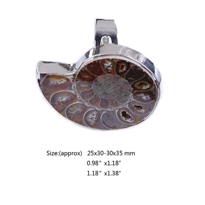 Unique Adjustable Ring Fashion Natural Ammonite Reliquiae-Finger Ring Jewelry Natural Fossil-Shell-Ring Women Girl Teen