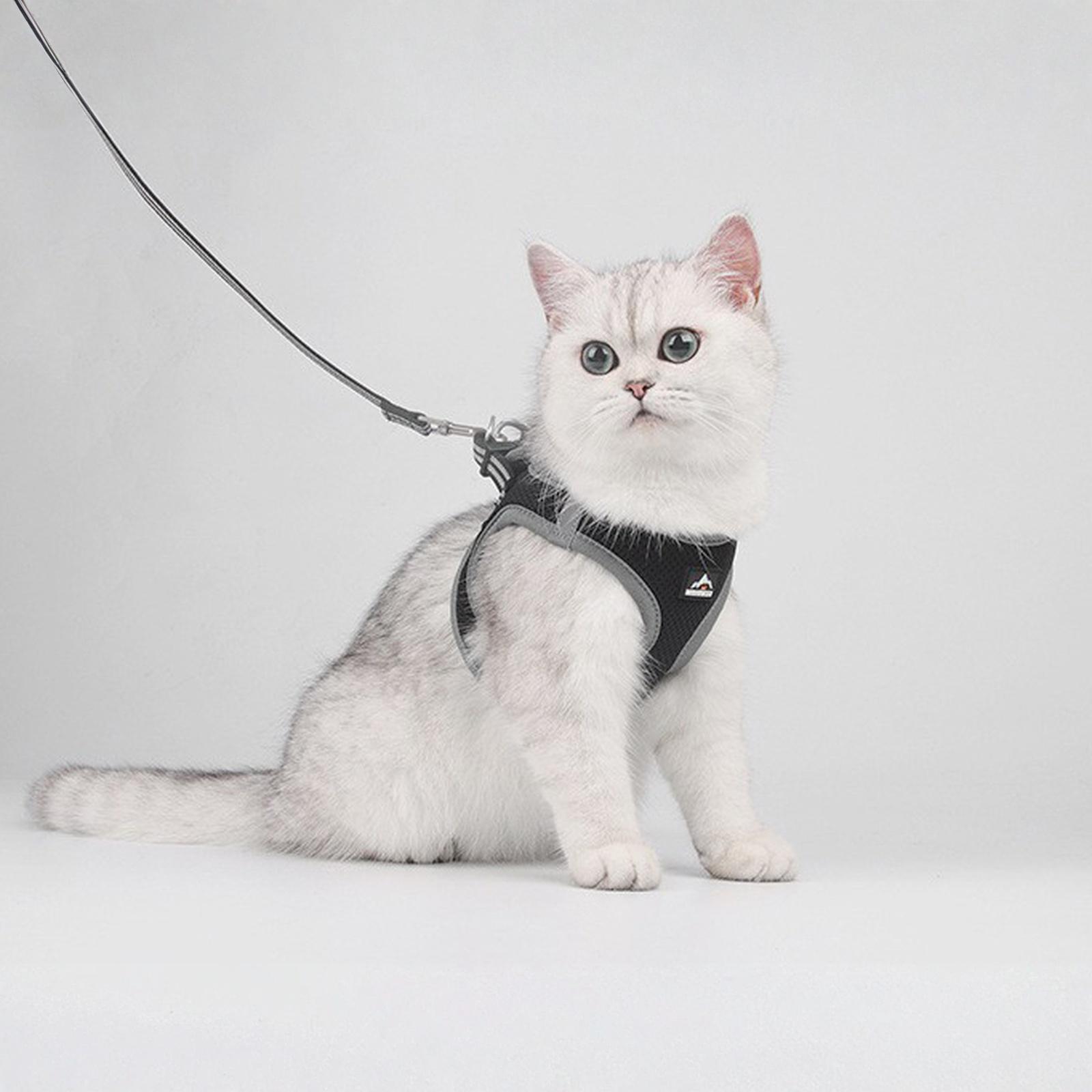 Joytale Small Dog , Breathable Mesh Step-in Vest, Reflective Soft Padded Harnesses Small Sized Dog for Walking XS чёрный