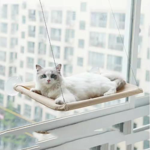 Cute Solid Modern Fashion Cat Hammock Four-Season Foldable Removable Suction Cup Window-Mounted Pet Nest