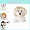 Adorável Peruca Bob Castanha com Franja Para Animais de Estimação Acessórios Elegantes e Modernos para Animais de Estimação