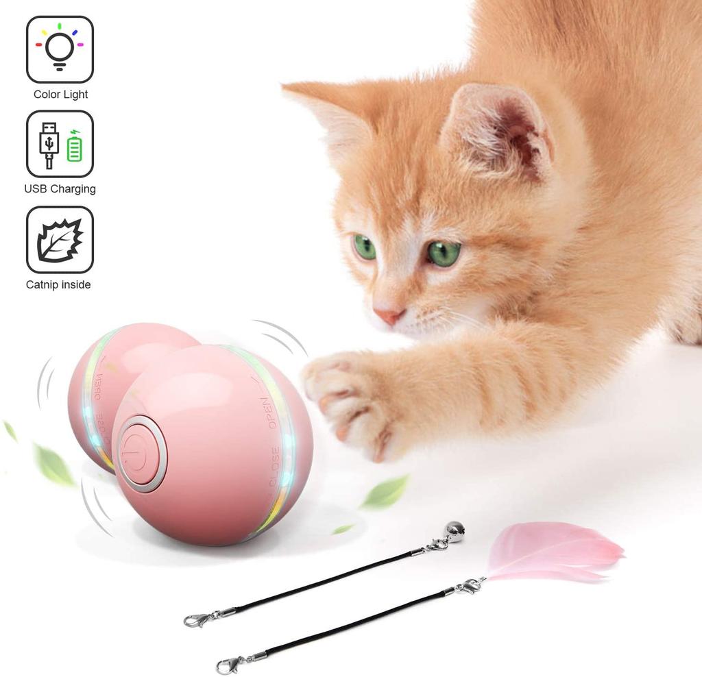 cat smart toy