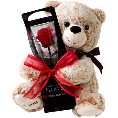 Preserved Flower Arrangement, Bear and Single Rose, Red, Perfect for Gifts, Celebrations, Anniversaries, Birthdays, Mother's Day, and More. Perfect As