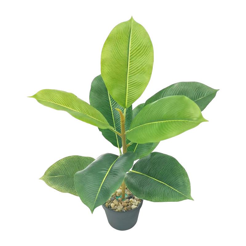 Desktop Rubber Tree & Aspidistra Potted Plant - Bionic Green Landscape Ornament