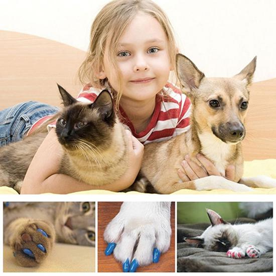 20 sztuk Pet Dog Cats Nail Caps Covers Kitten Control Akcesoria dla zwierząt domowych